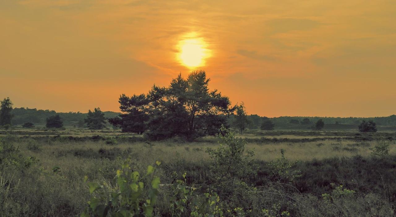 Lodge Koolmees Nunspeet Veluwe ภายนอก รูปภาพ